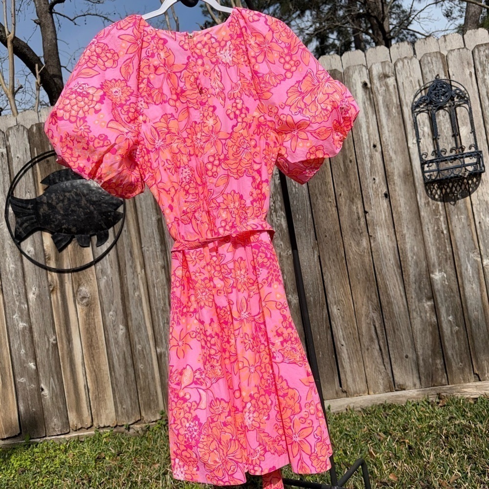NWOT Lilly Pulitzer Knoxlie Dress Mandevilla Baby Days Bloom Size 12 - Picture 6 of 16